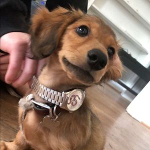 Meet your Posher, Alex